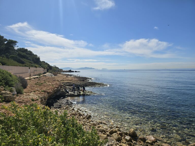 Balade en famille sur la CĂŽte Bleue entre Carry-le-Rouet et Sausset-les-Pins avec vue sur la mer