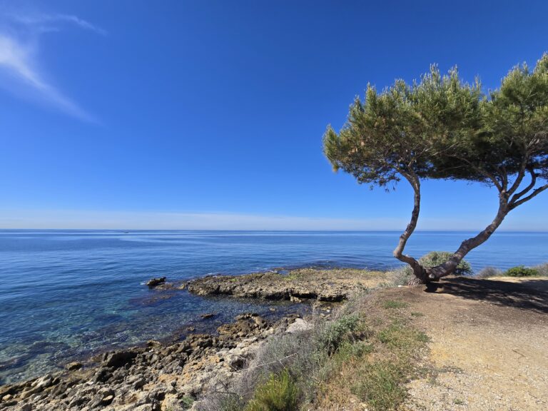 Balade en famille sur la CĂŽte Bleue entre Carry-le-Rouet et Sausset-les-Pins avec vue sur la mer