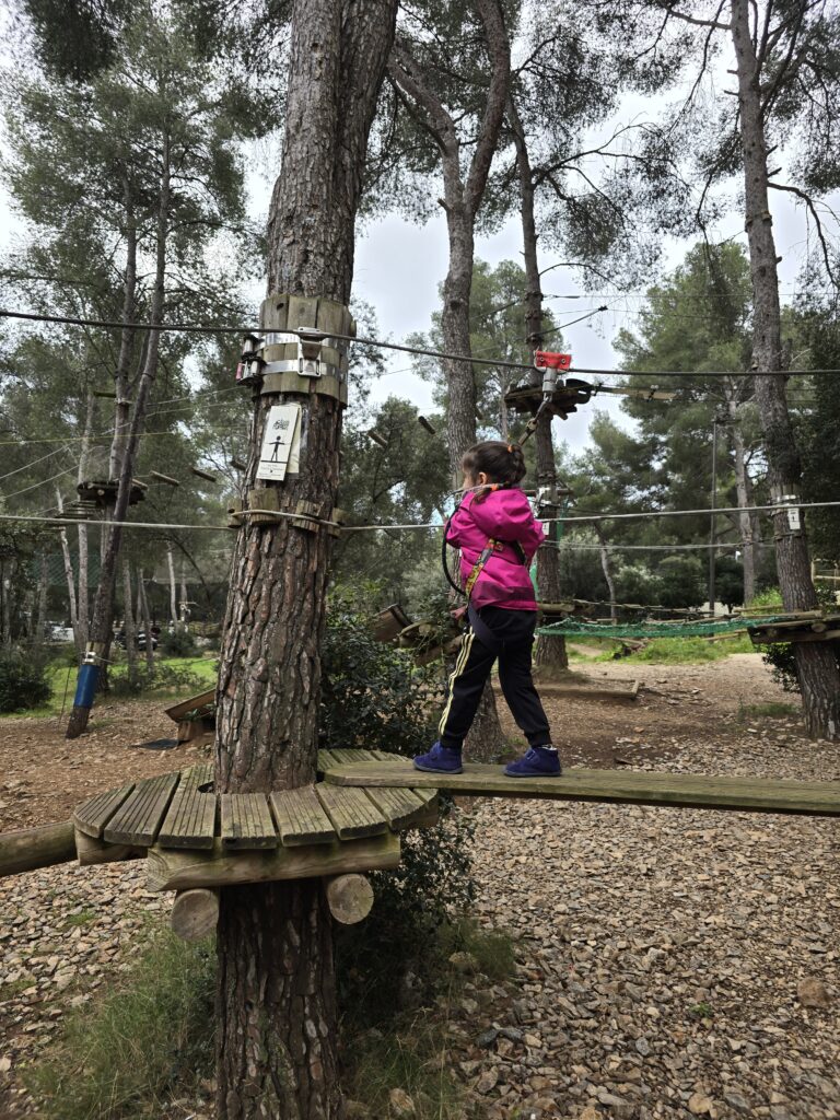accrobranche_Cassis Forest (13)