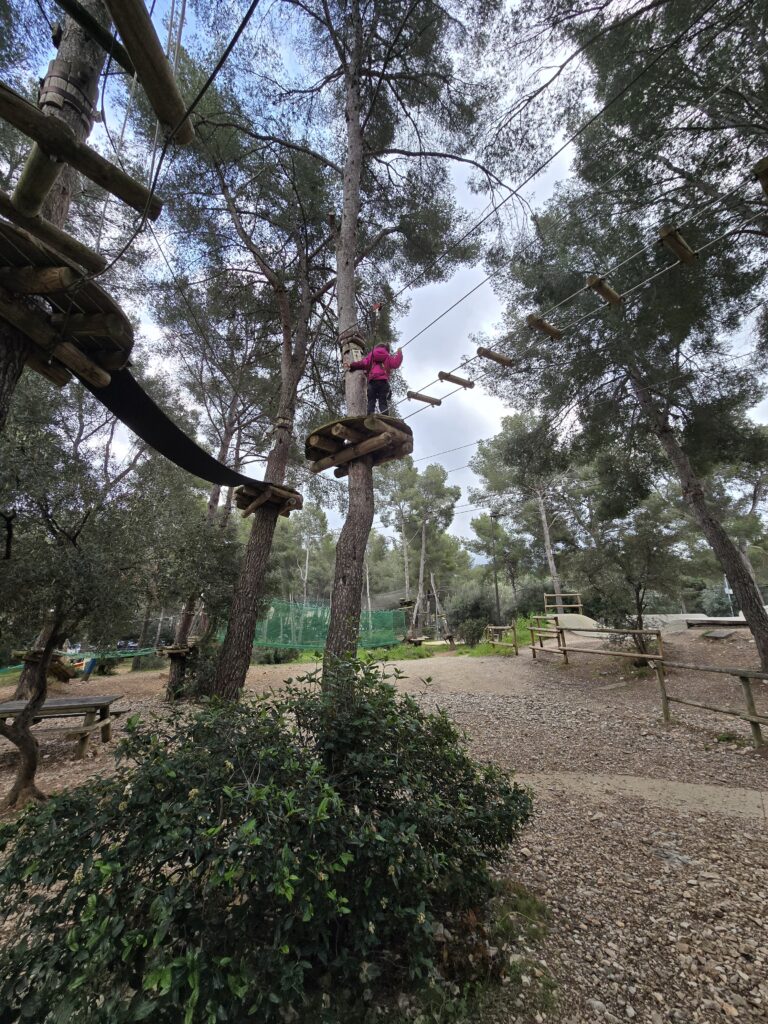 accrobranche_Cassis Forest (4)