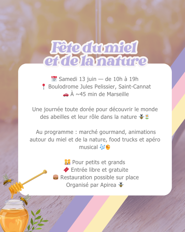 Que faire avec les enfants à Marseille ce week-end ? 19 sorties famille des 13 et 14 juin