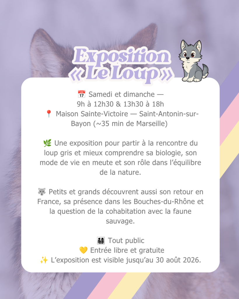 Que faire avec les enfants à Marseille ce week-end du 7 au 9 août 2026 (14)