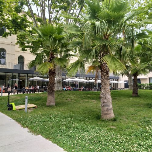 villaGECLUBdusoleilmarseille_maternitee